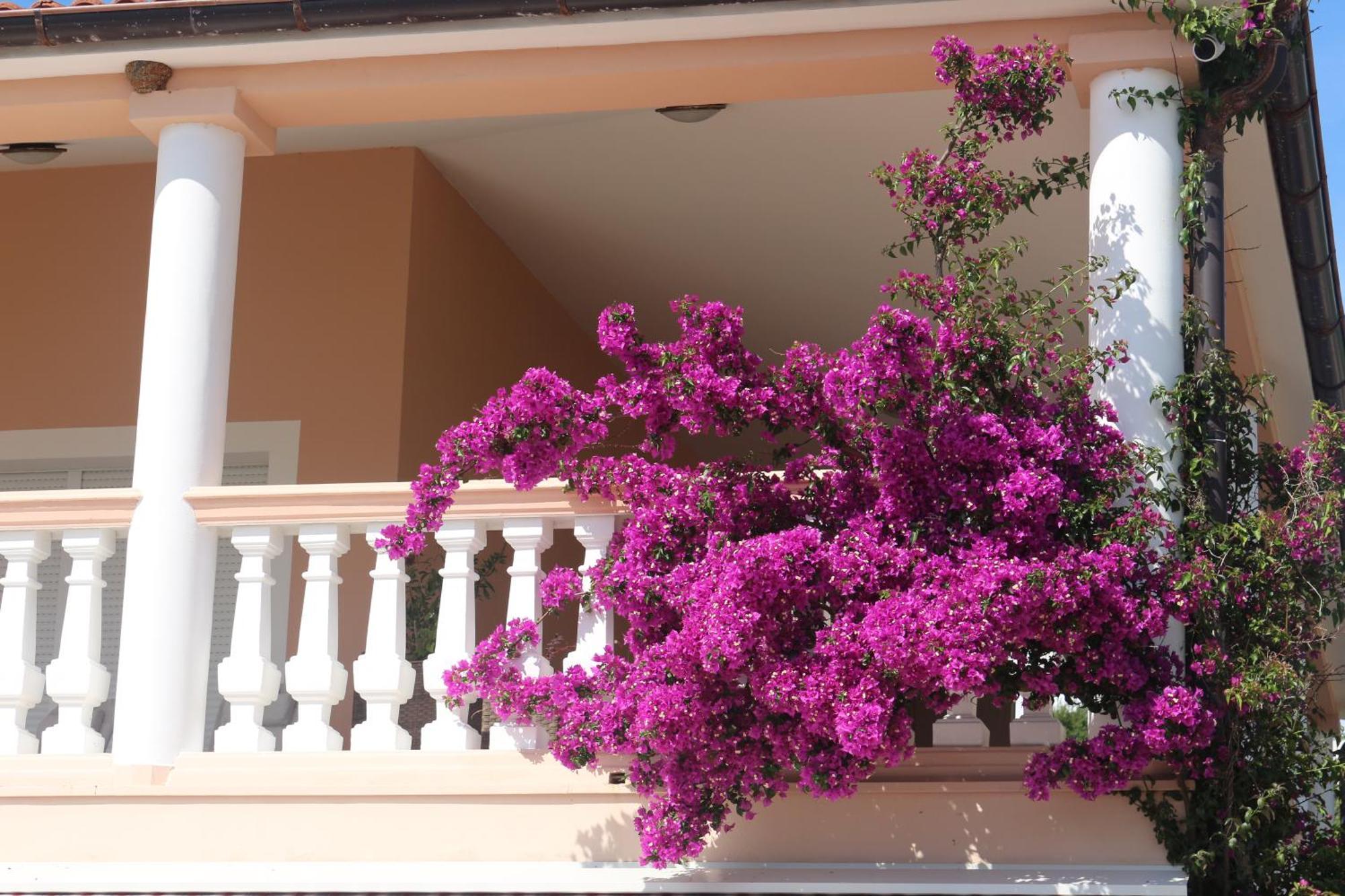 Olive House Apartman Šimuni Kültér fotó